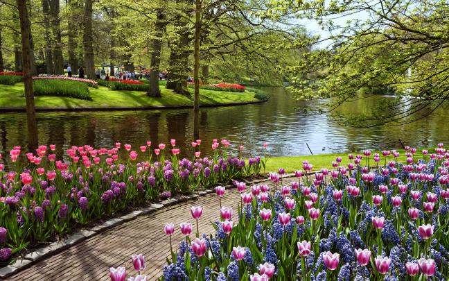 Beautiful Summer Garden Wallpapers HD \/ Desktop and Mobile Backgrounds