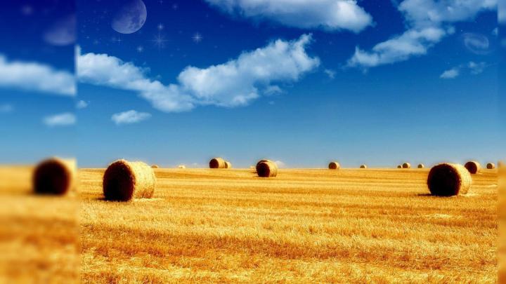 Summer Desktop Wallpapers Free
