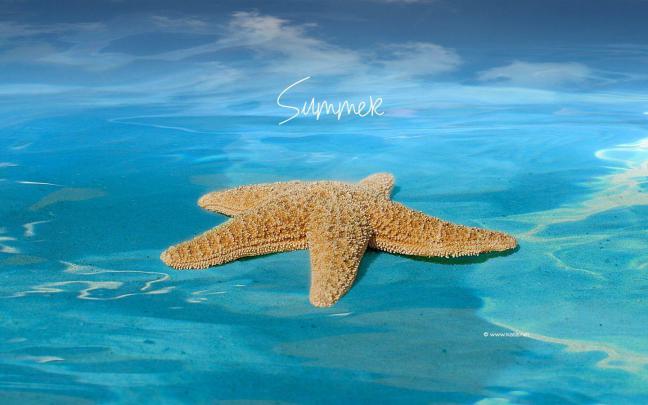 Summertime Desktop Wallpapers