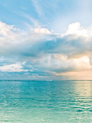 Natural summer wallpapers
