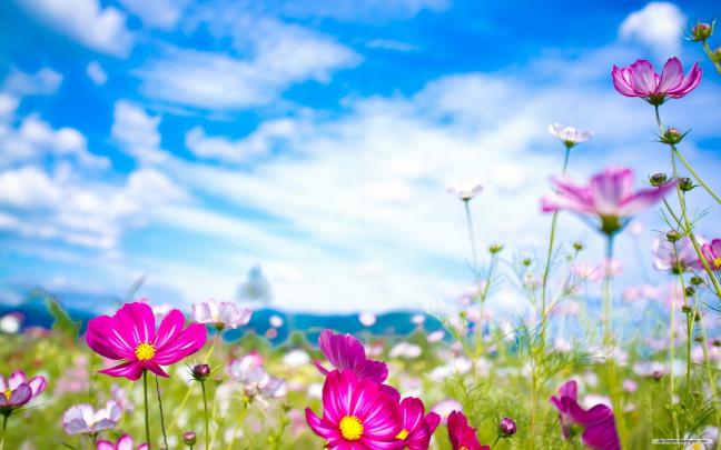 Late Summer Wallpaper for Desktop (65+ images)