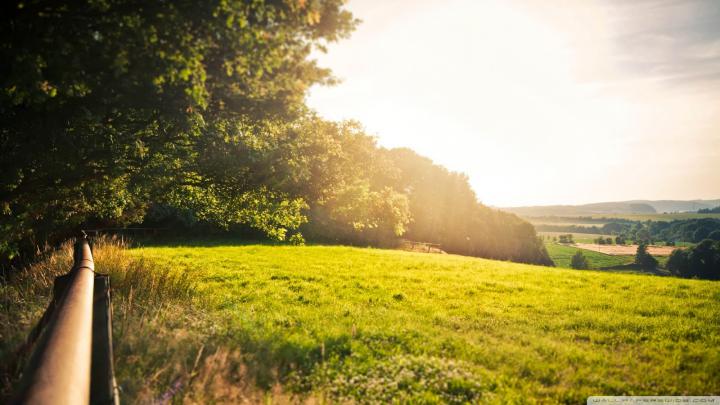 Free Desktop Wallpaper: Summer Desktop Wallpaper