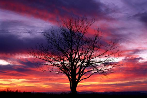 Nature Desktop Backgrounds Wallpapers - HD Wallpapers Blog