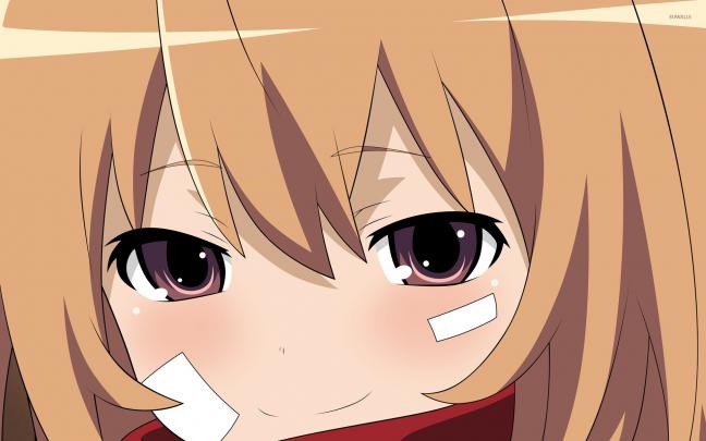 Taiga Aisaka - Toradora! [7] wallpaper - Anime wallpapers - #43547