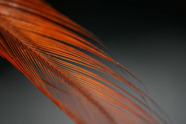 Classic Wallpaper: Ubuntu Desktop Background