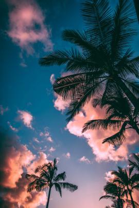 Summer Wallpapers: Free HD Download [500+ HQ] | Unsplash