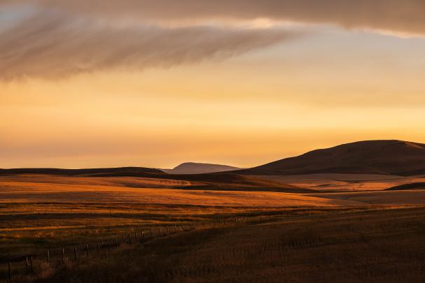 900+ Desktop Background Images: Download HD Backgrounds on Unsplash