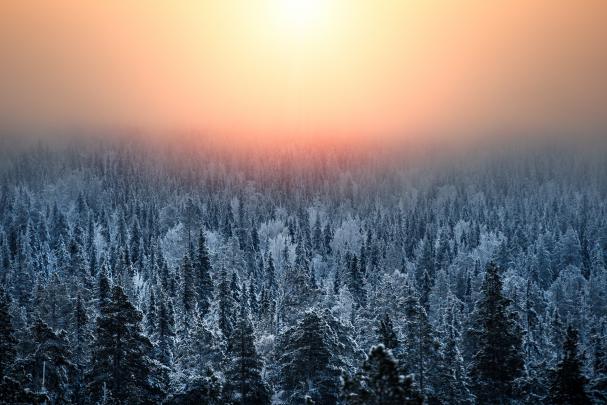 900+ Desktop Background Images: Download HD Backgrounds on Unsplash