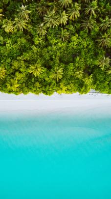Cellphone Wallpapers: Free HD Download [500+ HQ] | Unsplash