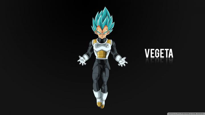 Vegeta Wallpaper for Android (76+ images)