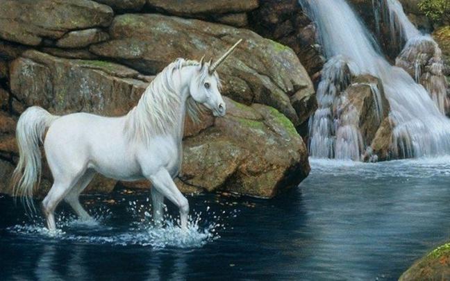 Free download horse wallpaper hd 1080p Desktop Backgrounds for HD 