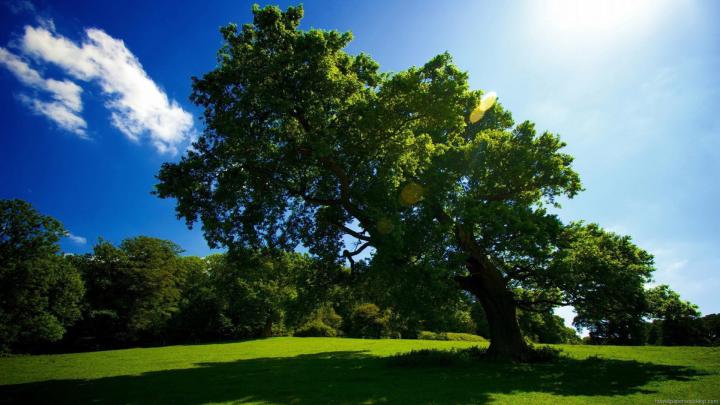 Nature Desktop Background Full Hd 1080p Desktop Wallpaper Hd - Images 