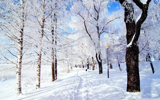 Winter Wonderland Desktop Background \u00b7\u2460 