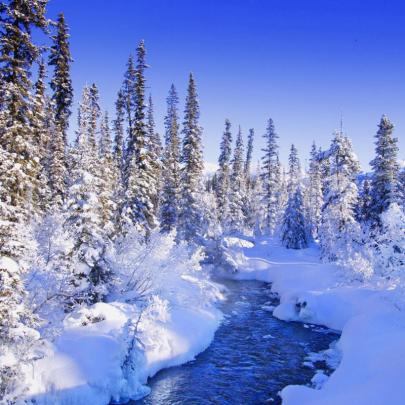 10 Best Free Winter Wonderland Wallpaper FULL HD 1920\u00d71080 For PC 