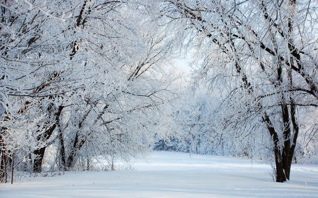 Winter Wonderland Wallpaper (66+ images)