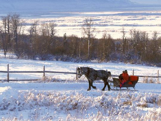 Winter Wonderland Desktop Backgrounds