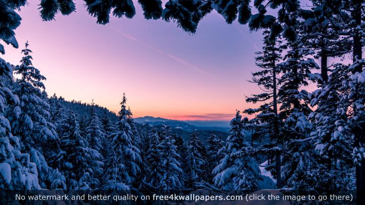 Winter Wonderland Desktop Background \u00b7\u2460 