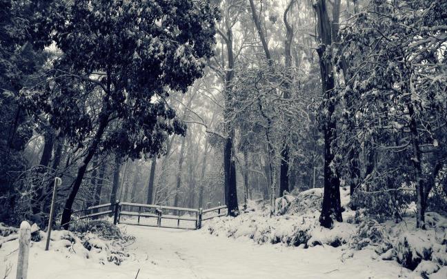 Winter Wonderland Desktop Backgrounds
