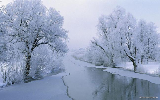 Winter Wonderland Desktop Wallpapers