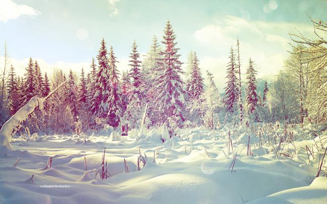 Winter Wonderland Desktop Background (54+ images)