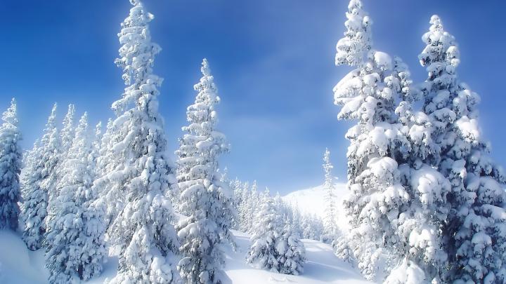 Winter Wonderland Desktop Background \u00b7\u2460 