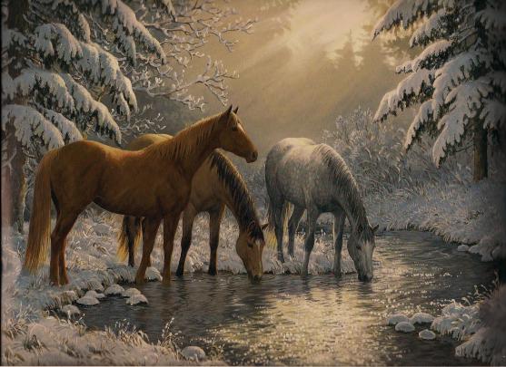 Winter Wonderland wallpaper \u00b7\u2460 Download free stunning wallpapers for 