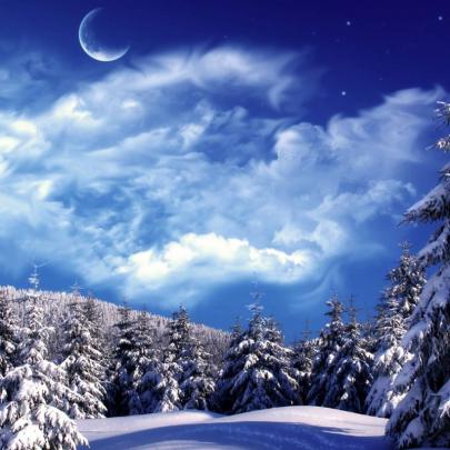 10 Best Free Winter Wonderland Wallpaper FULL HD 1920\u00d71080 For PC 
