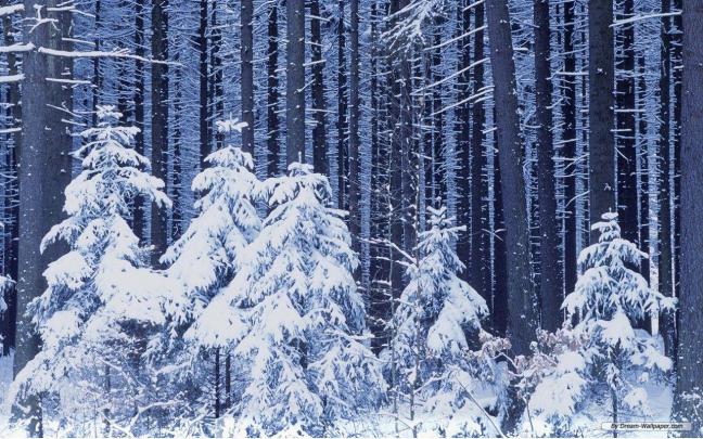 Winter Wonderland Desktop Backgrounds
