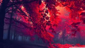 Hd Red Wallpaper 1920x1080