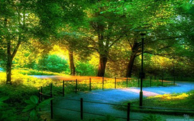 Beautiful Scenery Wallpapers Full Hd - Nature Wallpaper Hd (#2564674 
