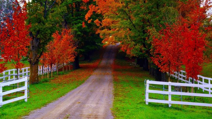 Full Hd Nature Background (#2264482) - HD Wallpaper \u0026 Backgrounds Download