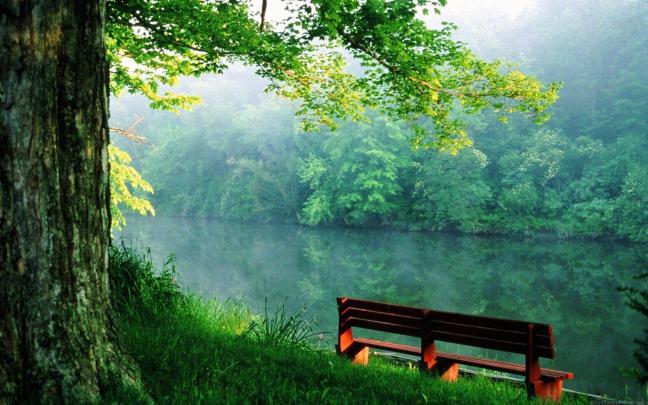 Full Hd Nature Wallpapers Hq Cool 14 Hd Wallpapers - Widescreen 