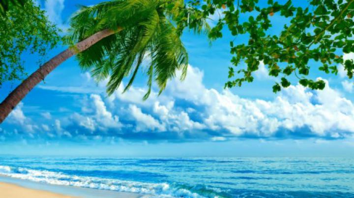 Nature Wallpapers \u0026gt; - Laptop Hd Wallpapers Nature (#20739) - HD 