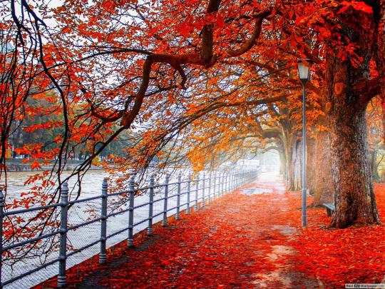 Download Autumn Images Wallpaper - Ultra Hd Background Nature On Itl.cat