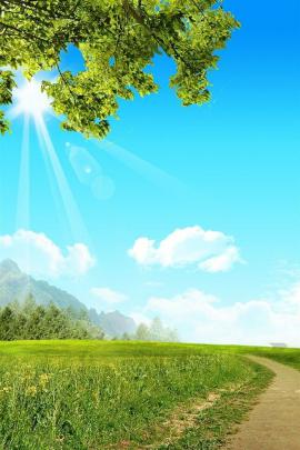 35 High Quality Nature Wallpaper Hd For Mobile 1080p - wallpapers