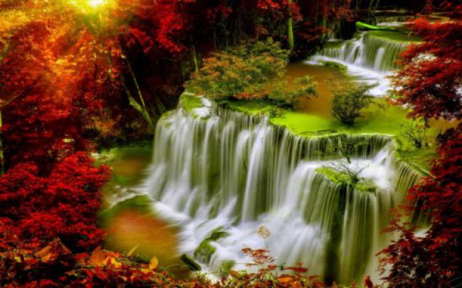 Tropical Sunset Wallpapers For Pc \u0026 Mac, Tablet, Laptop, - Nature 