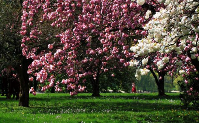 Paisajes De Primavera (#1756371) - HD Wallpaper \u0026 Backgrounds Download