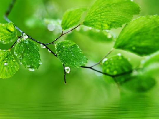 Download Nature Wallpaper Hd Download Free For Pc On Itl.cat