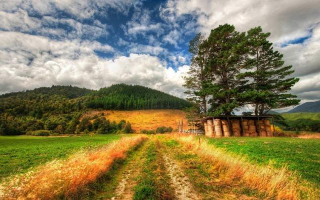 Free download new zealand nature HD wallpaper Nature wallpaper HD 