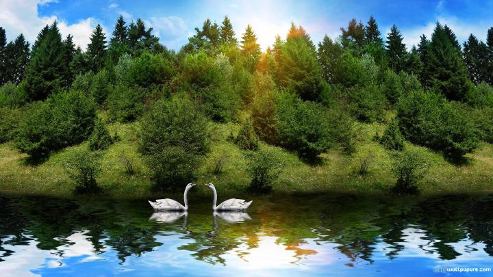 HD Nature Wallpapers for Laptop (35+ images)