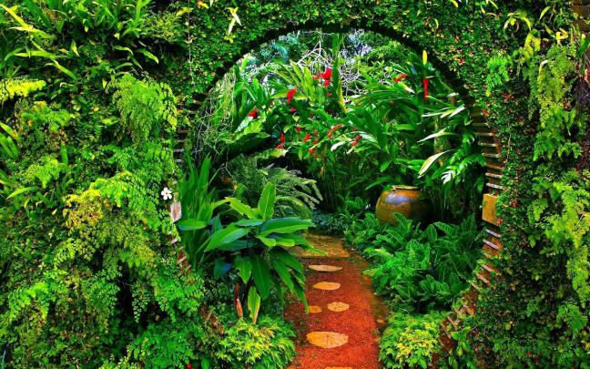 Plant Aesthetic Laptop Wallpapers - Top Free Plant Aesthetic Laptop 
