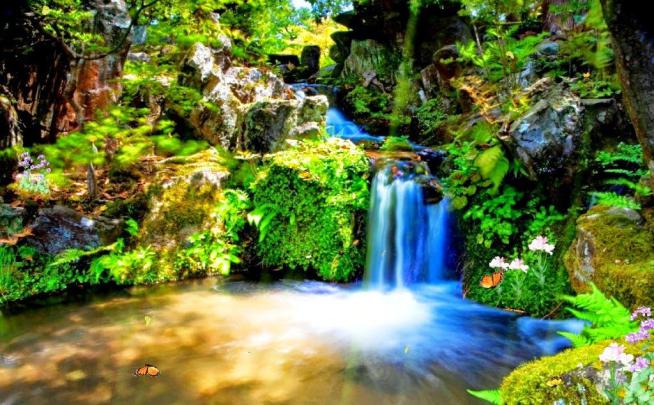 Images and Pictures of Nature: Animated waterfall | Moving wallpapers 