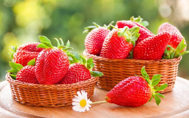 Fruit Background Wallpaper (61+ images)