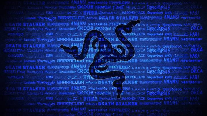 Free download Razer Blue Wallpaper 3 1920 X 1080 stmednet [1920x1080 
