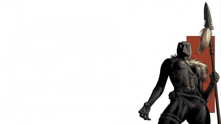 Free download Black Panther Computer Wallpapers Desktop Backgrounds 