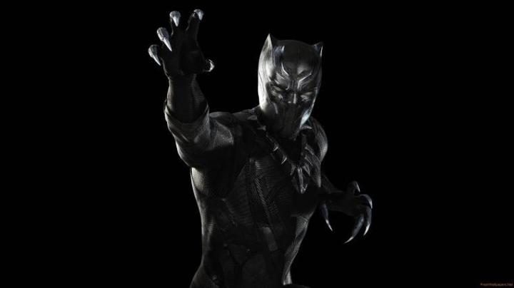 Free download Black Panther Computer Wallpapers Desktop Backgrounds 