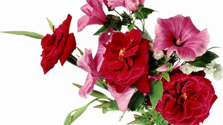 Flower Images Wallpapers For Laptop : Flower Wallpapers Laptop Download 