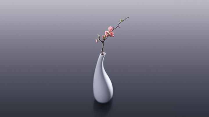 Download 1920x1080 wallpaper flowers, vase, minimal, full hd, hdtv, fhd 