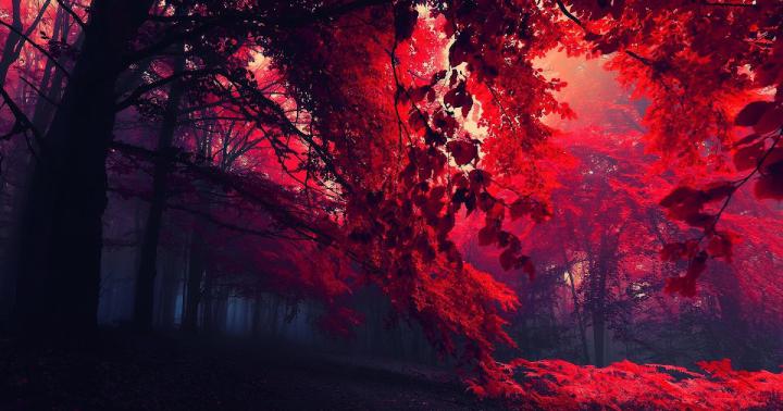 Wallpaper 8K 1920X1080 - Widescreen Wallpaper 8k Digital Firewatch 