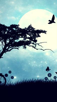 Hd Nature Wallpapers For Android Phones Free Download - .on 